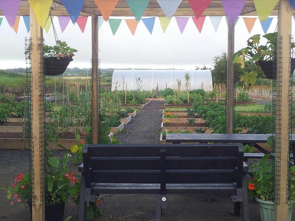 Incredible Edible Cloughmills.jpg Incredible Edible Cloughmills.jpg