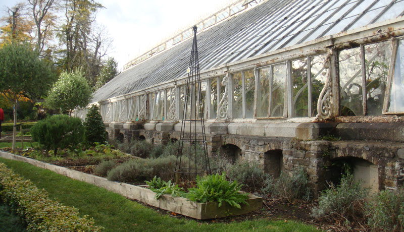 Lovely Garden
